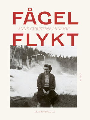 cover image of Fågelflykt
